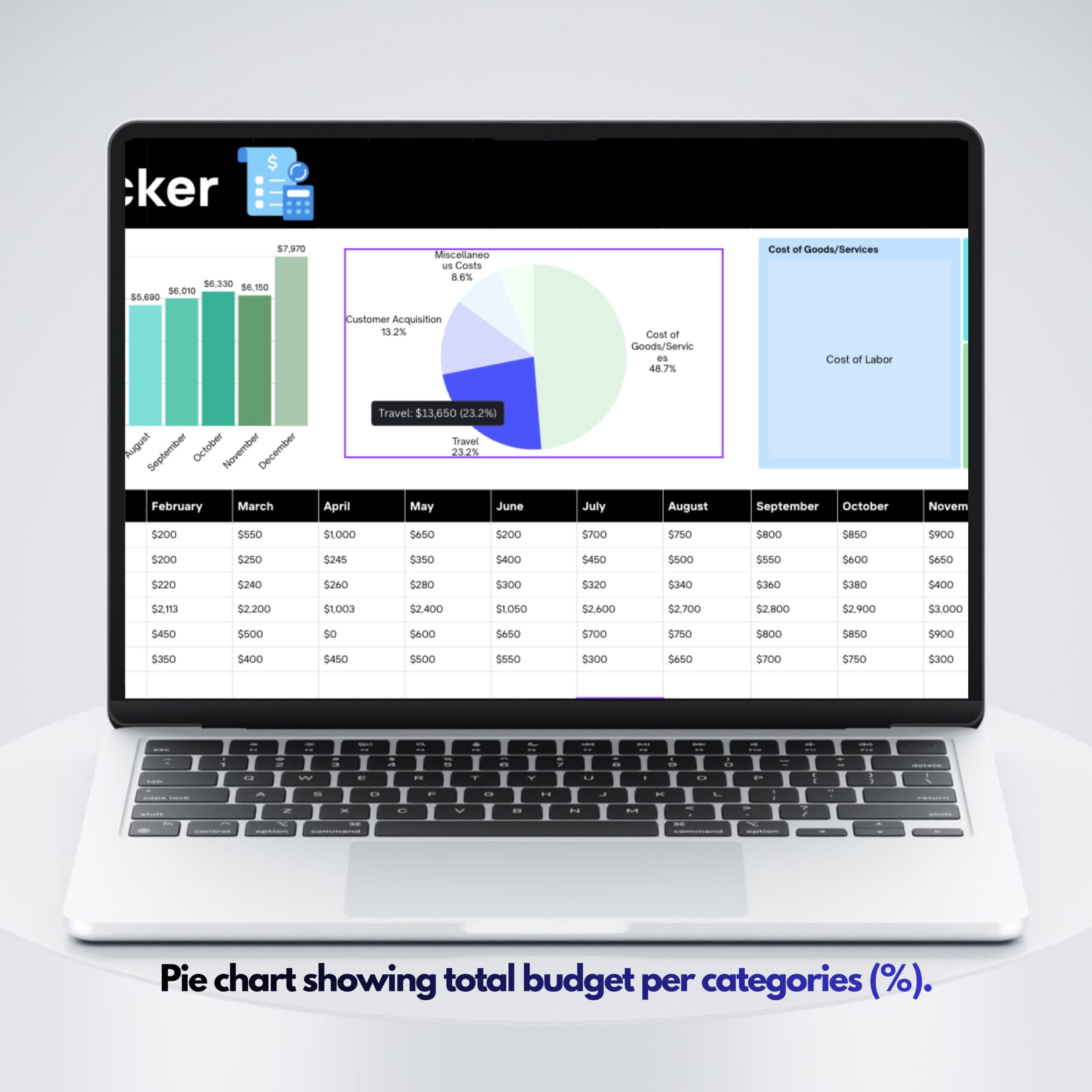 Editable Budget Tracker Canva Excel Template | Monthly Tracker with Charts | Financial Planner Spreadsheet | TRAC-012-01 - Image 5