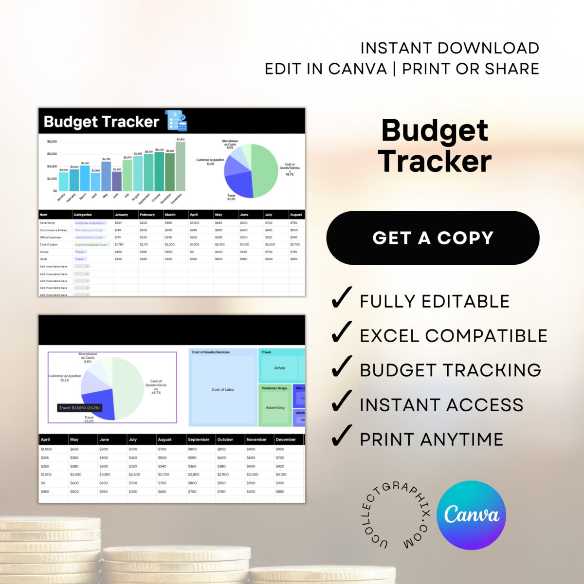 Editable Budget Tracker Canva Excel Template | Monthly Tracker with Charts | Financial Planner Spreadsheet | TRAC-012-01