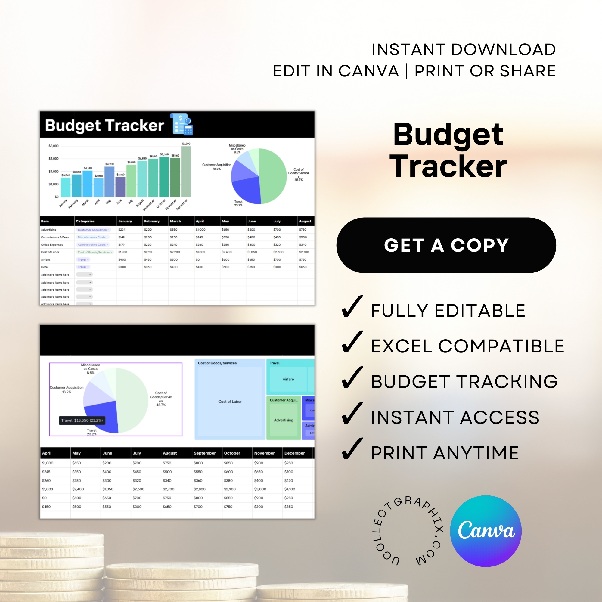 Editable Budget Tracker Canva Excel Template | Monthly Tracker with Charts | Financial Planner Spreadsheet | TRAC-012-01