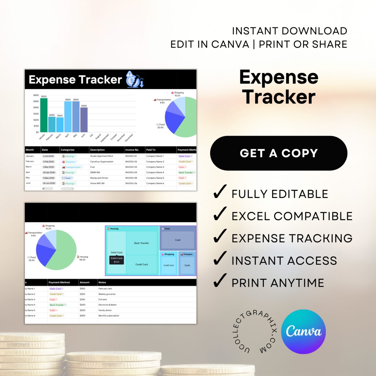 Editable Expense Tracker Spreadsheet | Monthly Budget Planner | Business & Personal Expense Log | TRAC-013-01