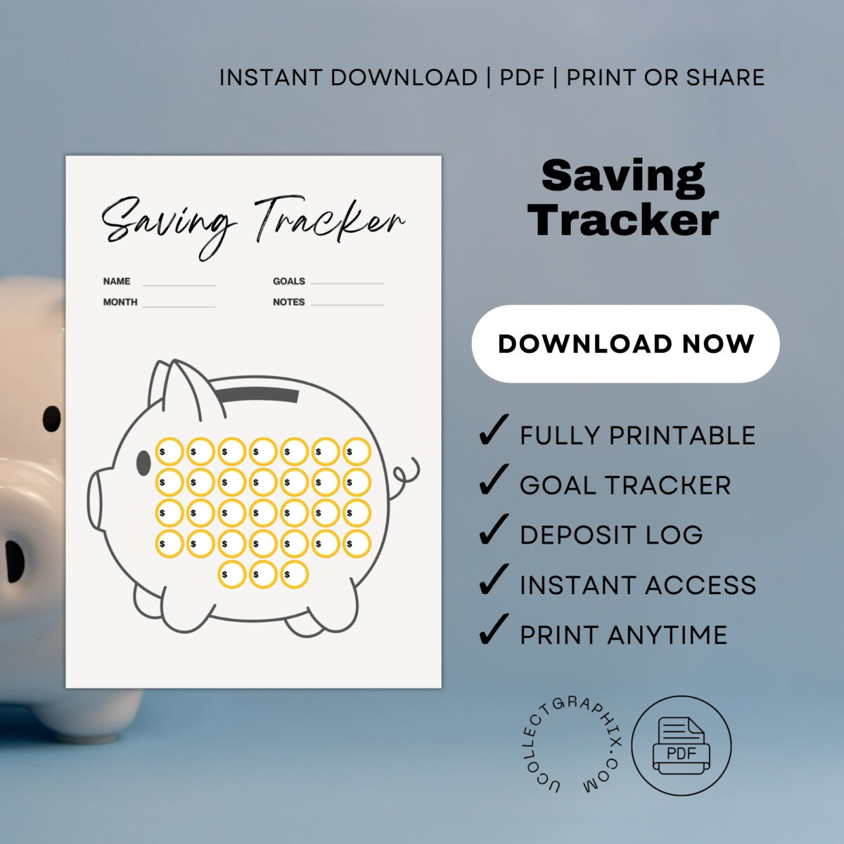Monthly Savings Goal Tracker Printable | Personal Finance Planner | A4 & Letter Size | TRAC-003-01